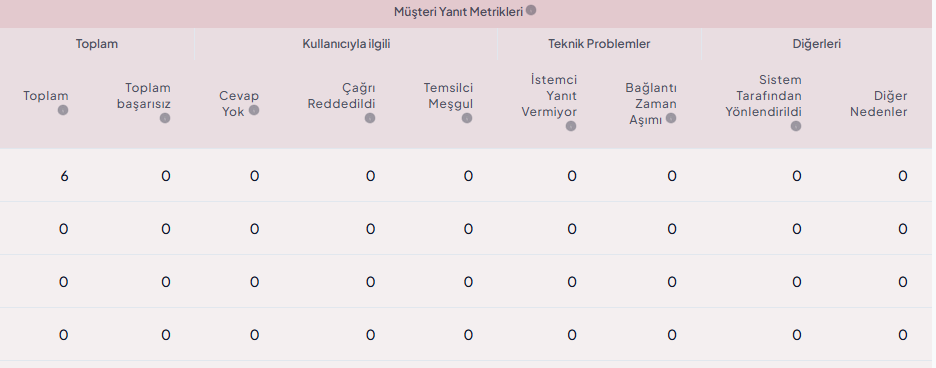 müşteriyanıtmetrikleri- Temsilci Rapor