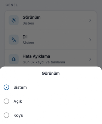 uygulama_gorunum_ayarlari.png