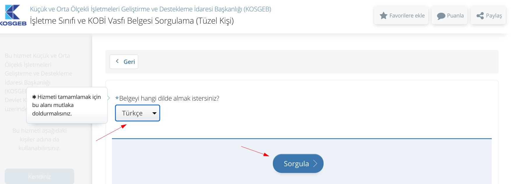 kosgeb_dil_ve_sorgu.png