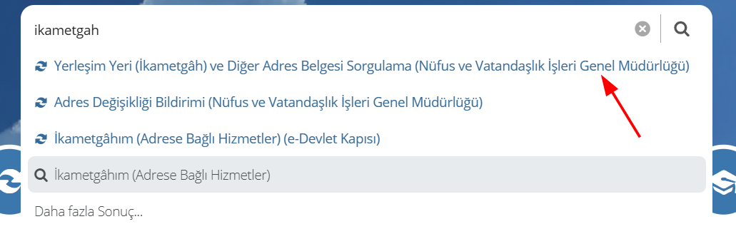 edevlet_ikametgah.png