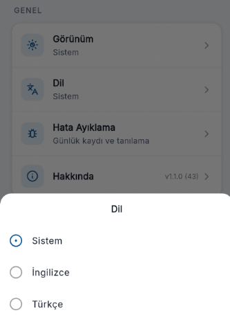 uygulama_dil_ayarlari.png