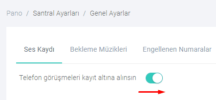 Ses kayıt özelliği