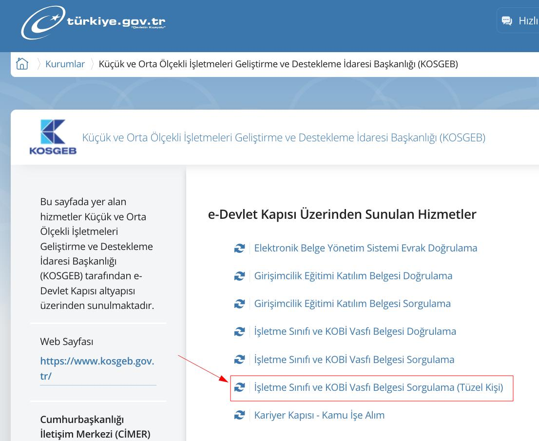 kosgeb_edevlet_sorgu.png