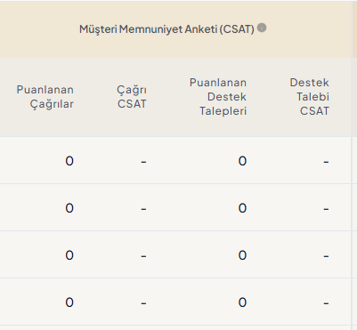 csat-Temsilci Rapor