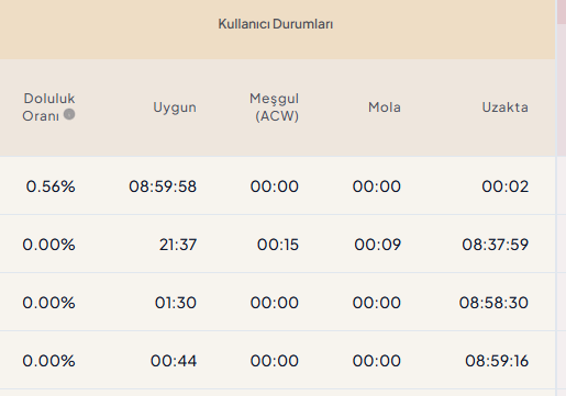 kullanıcıdurumları -Temsilci Rapor